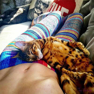 Legging de Yoga Coloré-Legging de Sport Femme - top-zen